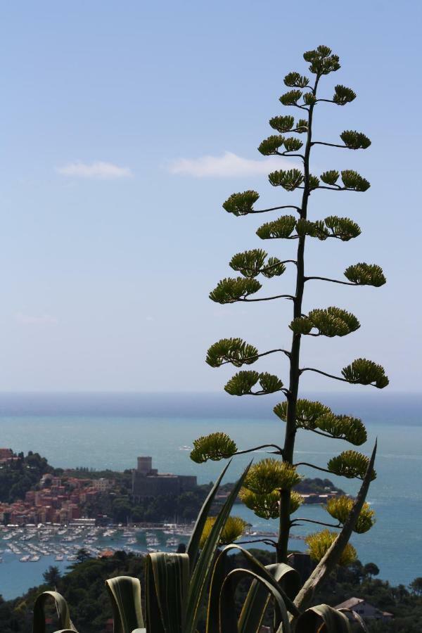 Villa Agave Di Lerici Extérieur photo