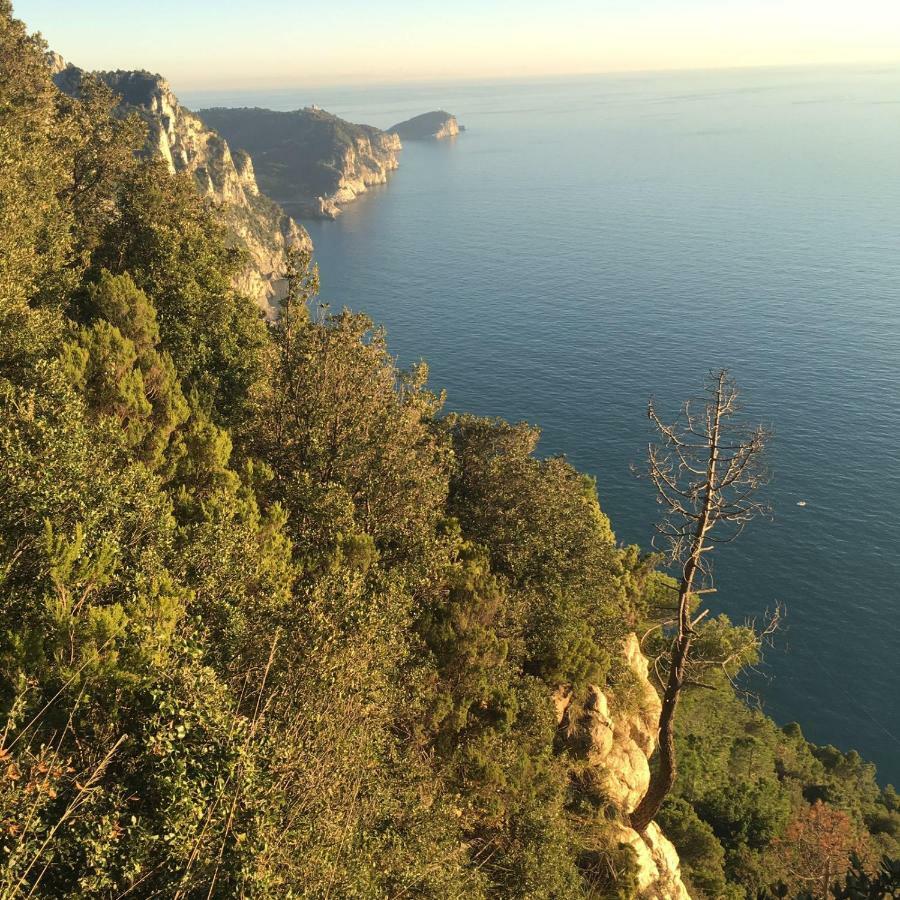 Villa Agave Di Lerici Extérieur photo